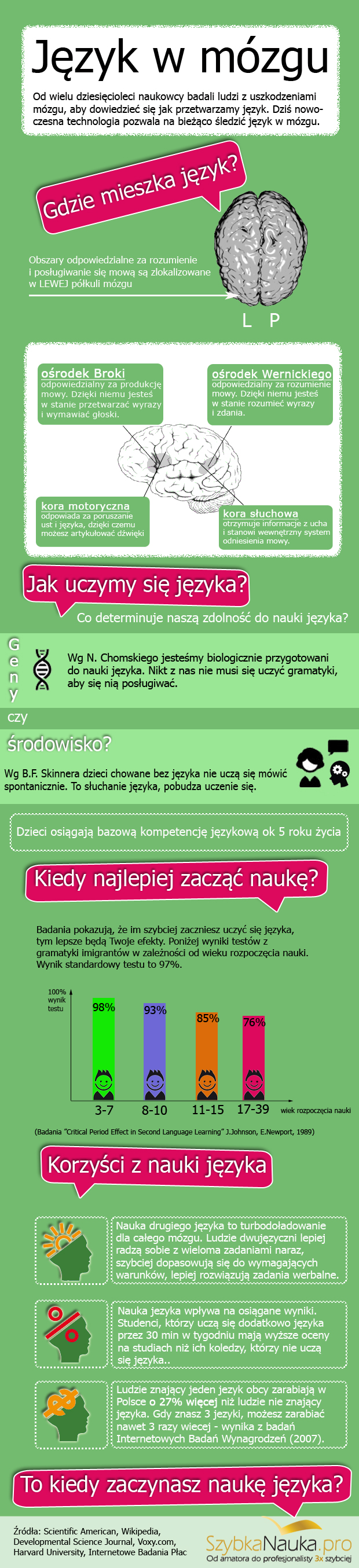 obrazek przedstawiający dane o nauce języków obcych i mózgu